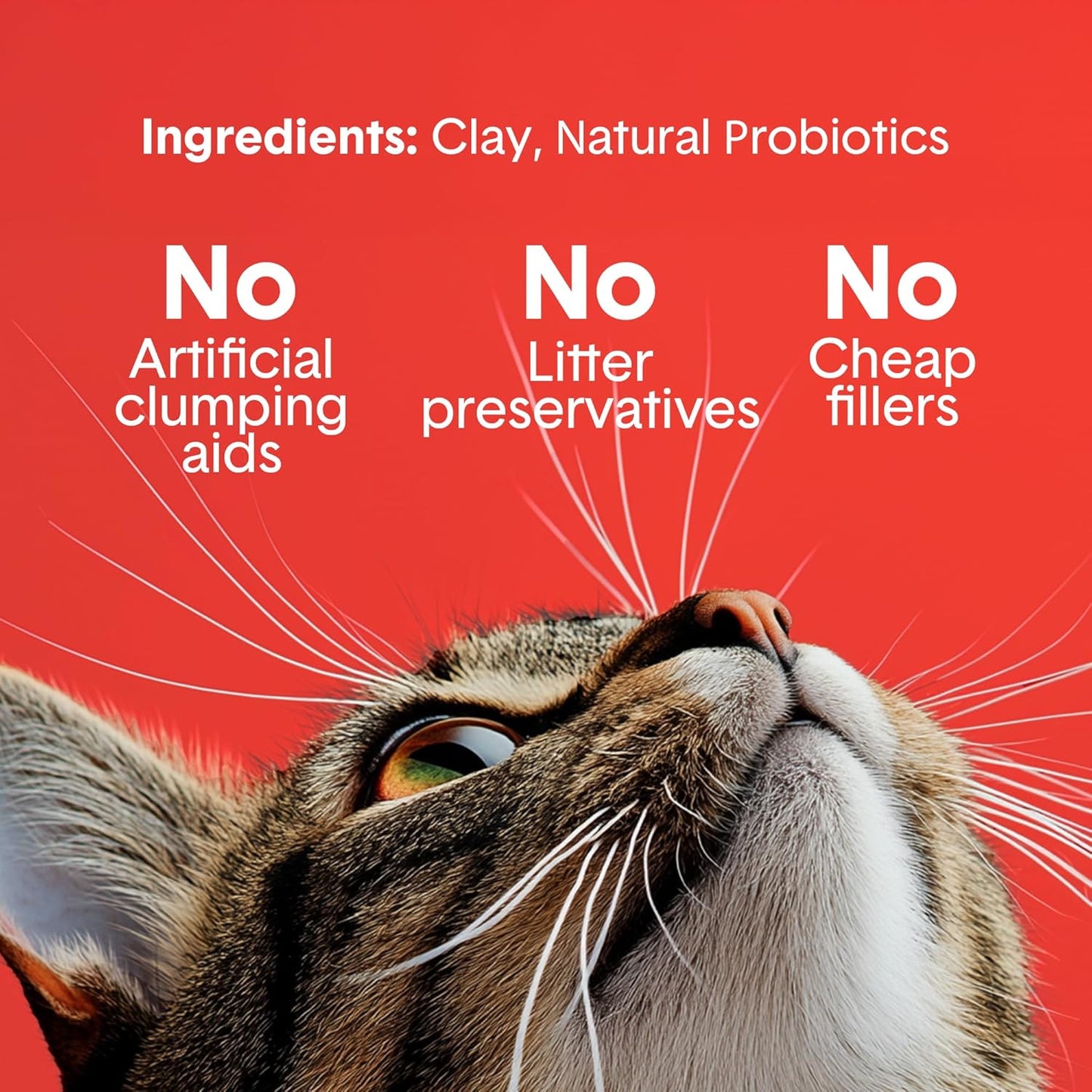 Boxie® Extra Strength 35 Day Odour Control Clumping Clay Cat & Kitty Litter 28lb, 99.9% Dust-Free, Probiotic Formula, Long-Lasting, Veterinarian Approved, Easy Scooping for Multi-Cat Homes