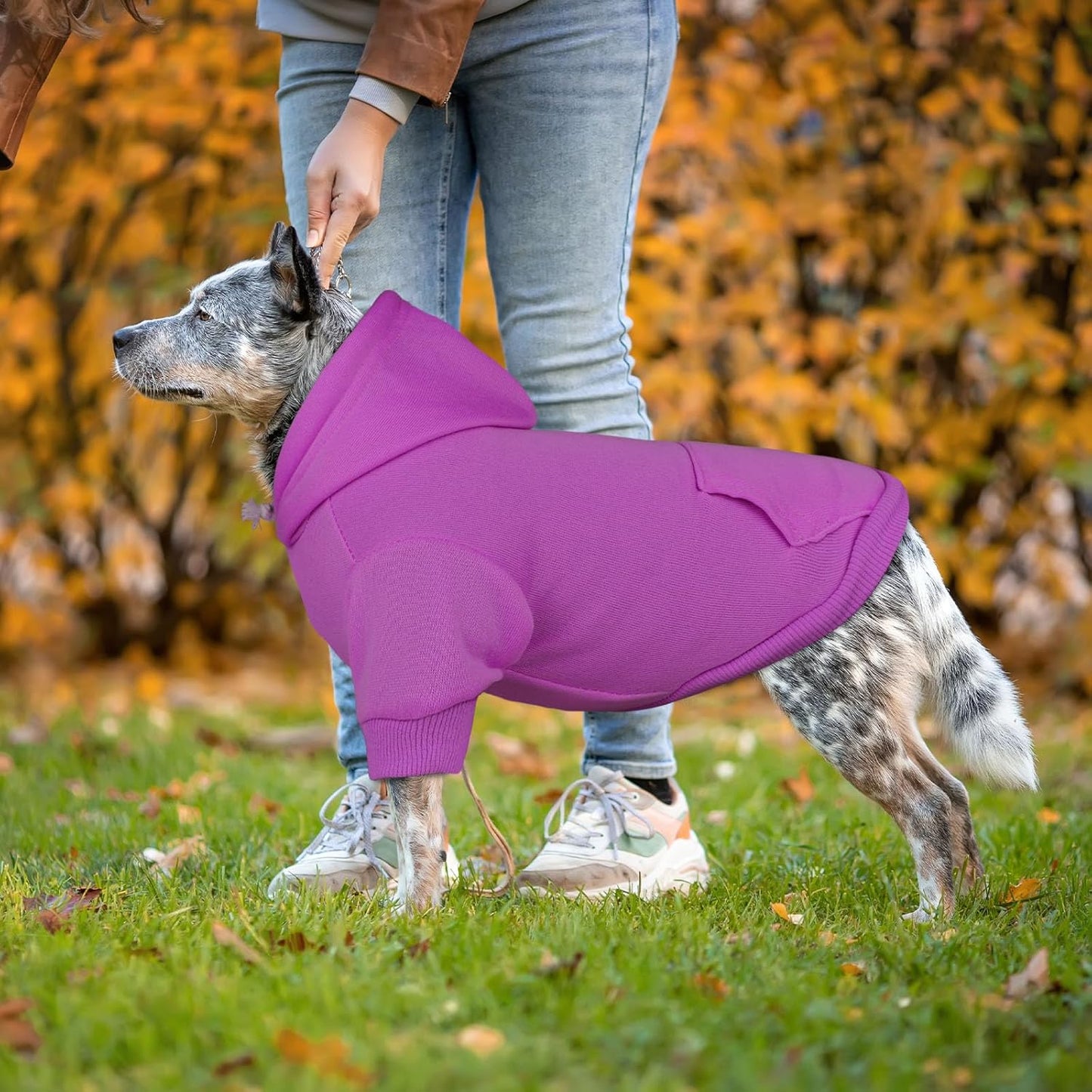 Dog Sweaters for Large Dogs Dog Hoodie Sweater Solid Soft Brushed Fleece Clothes Hoodie Sweatshirt with Pocket(Purple-XL)
