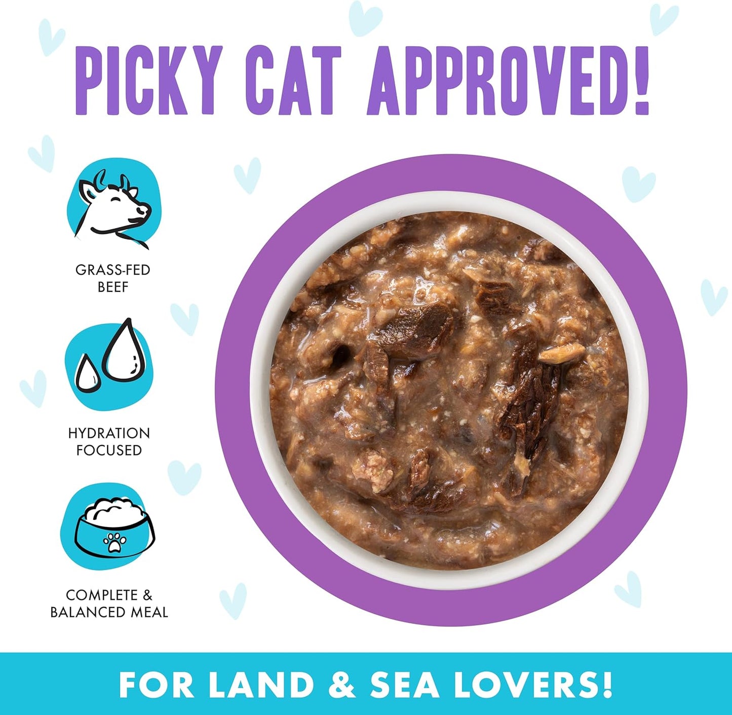 Weruva B.F.F. OMG - Best Feline Friend Oh My Gravy!, Booya! Beef & Chicken in Gravy Cat Food, 2.8oz Pouch (Pack of 12)