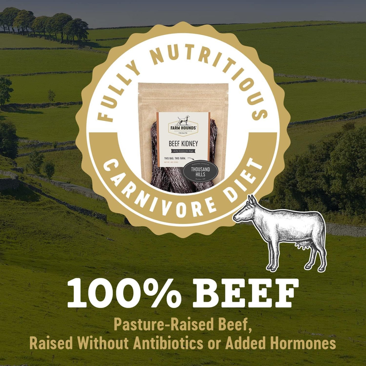 Farm Hounds - Beef Kidney - Premium Natural Beef Kidney Jerky For Dogs - Made From 100% Humanely Raised Cattle - Organ Treat - Great For Training & Treats - No Added Fillers - Made in USA -4oz -1 Pack
