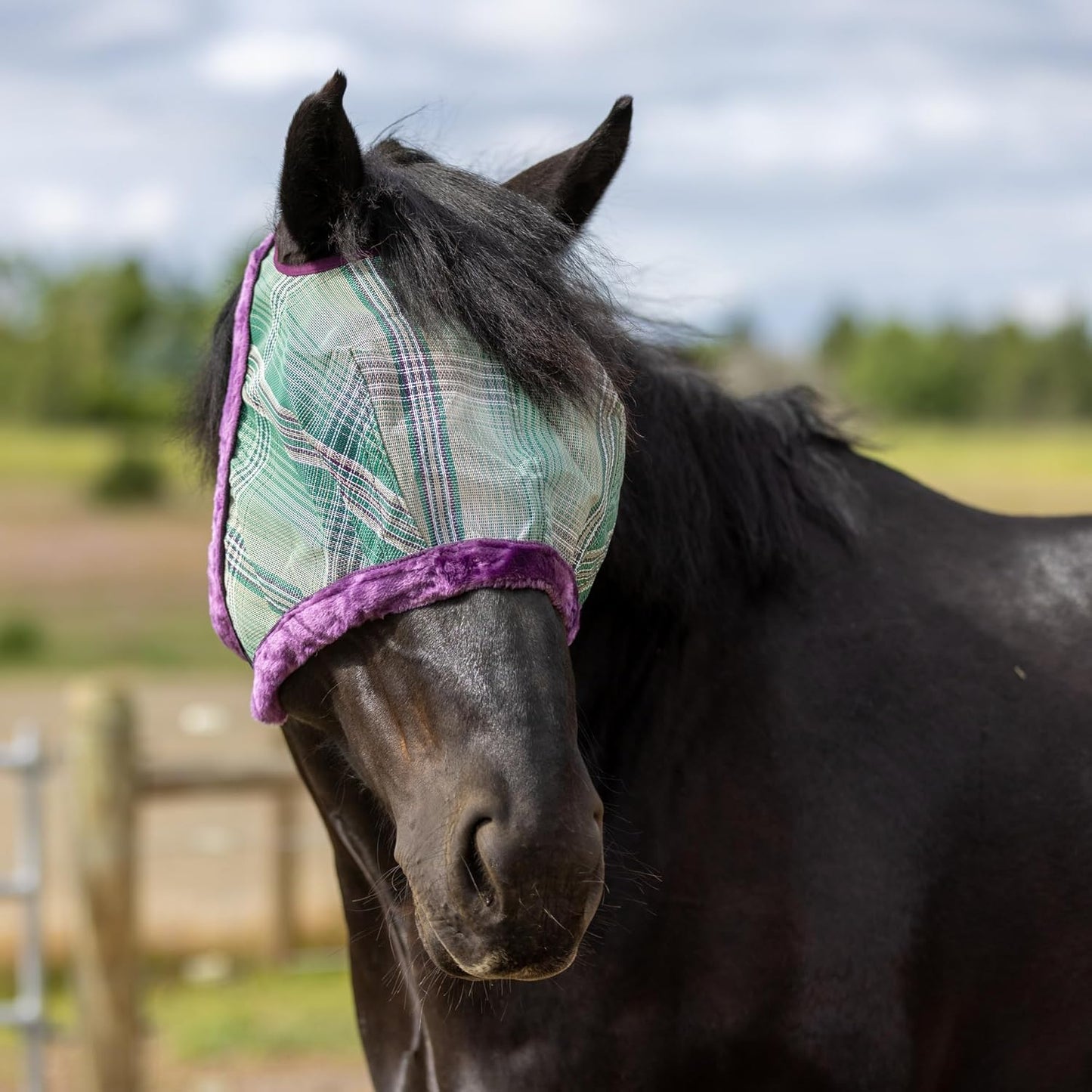 Kensington UV Fly Mask with Fleece Trim - Protective Mask with Dual Ear Opening Size: XXL Color: 2019-Imperial Jade