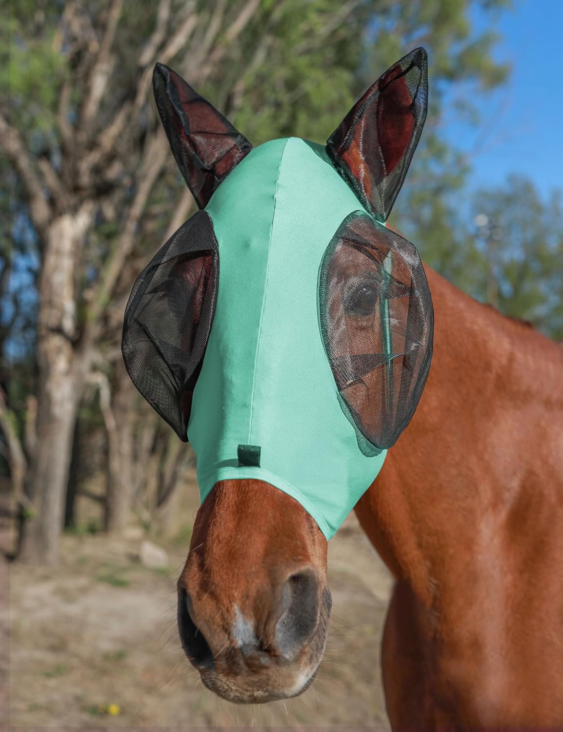 Horse Fly Mask with Ears, UV Protection for Horses, Elasticity with Big Mesh Eye Covers, Snug Fitting Comfortable Breathable Lightweight for Horses Gentle Mint Cob