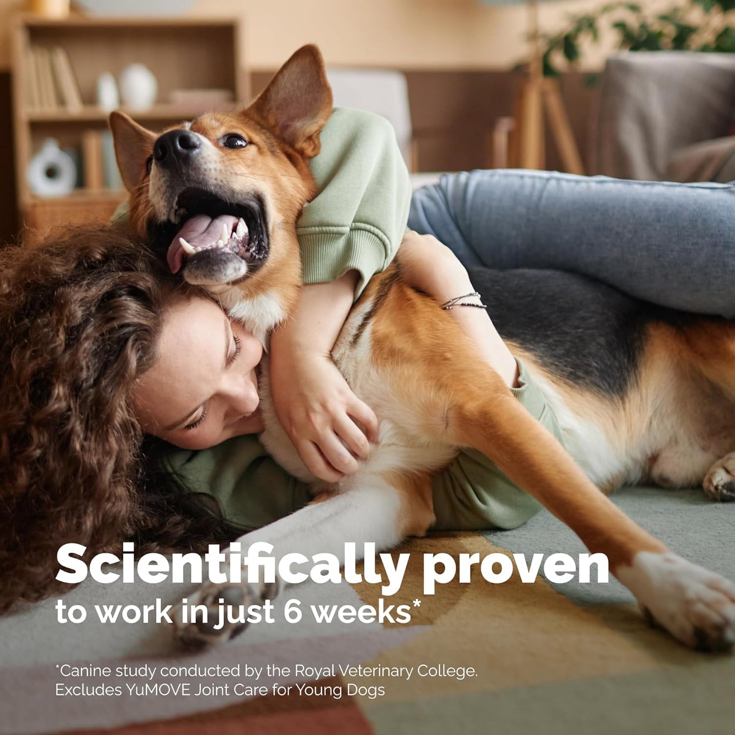 YuMOVE Hip & Joint Supplement for Dogs - with Glucosamine Chondroiton, Green Lipped Mussel, Hyaluronic Acid, and Omega 3 Joint Supplement for Stiffness and Mobility 60 Chews (Large/XL Dogs)