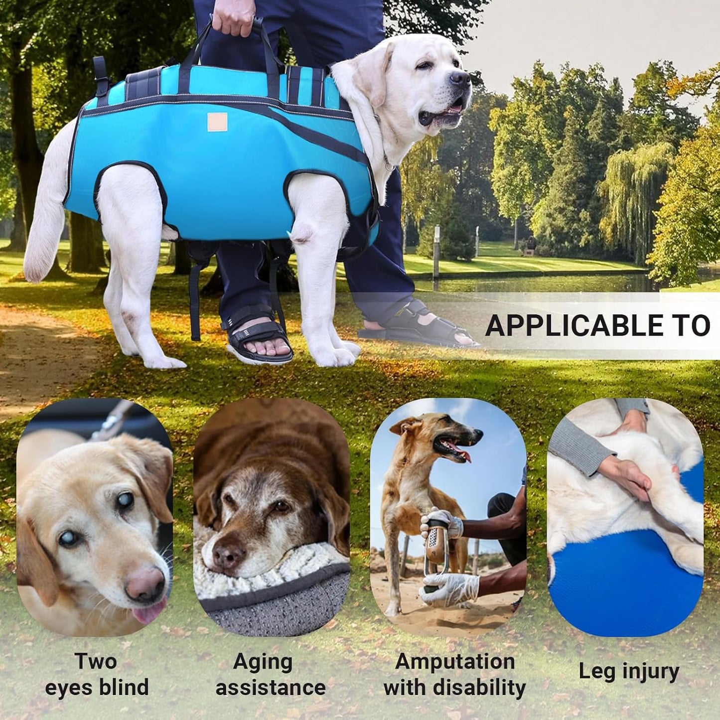 Dog Lift Harness Backpack Carrier for Large Dogs, Full Body Sling with Handle, Dog Harness for Joint Injuries, Arthritis, Ideal for Stairs, Elderly Dogs (Blue XX-Large 50-66 LBS)