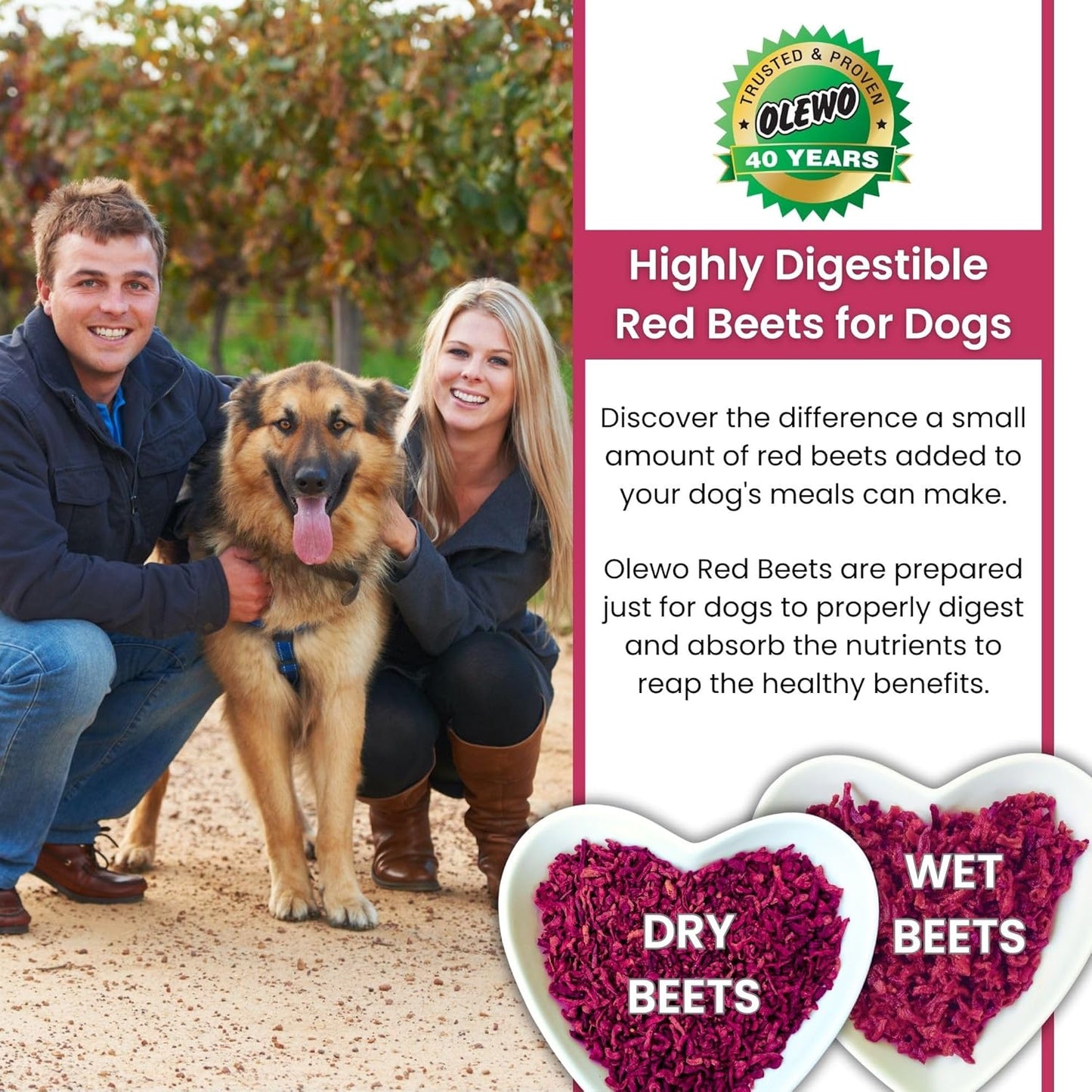 Olewo Original Red Beets for Dogs – Natural Anti Itch for Dogs, Dog Food Topper, Immune, Cleansing, Skin & Coat Support, Dehydrated Whole Food Dog Multivitamin, Fiber for Dogs, 1 lb