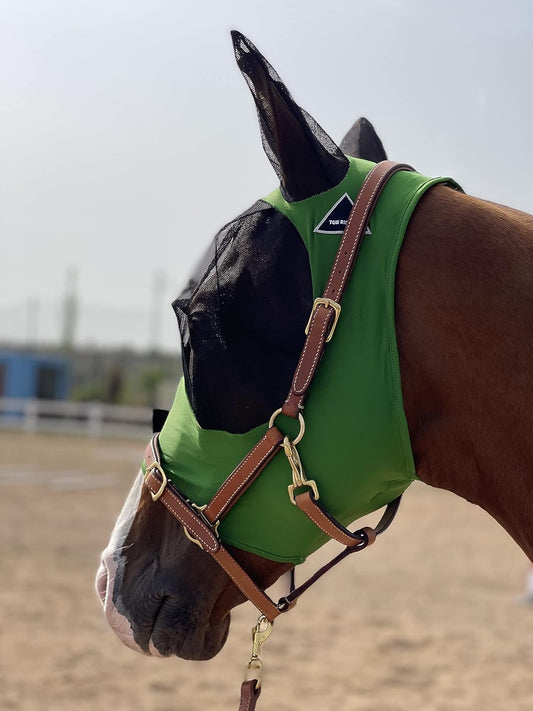 Horse Fly Mask Super Comfort Horse Fly Mask Elasticity Fly Mask with Ears We Only Make Products That Horses Like… (Hunter Green, M)