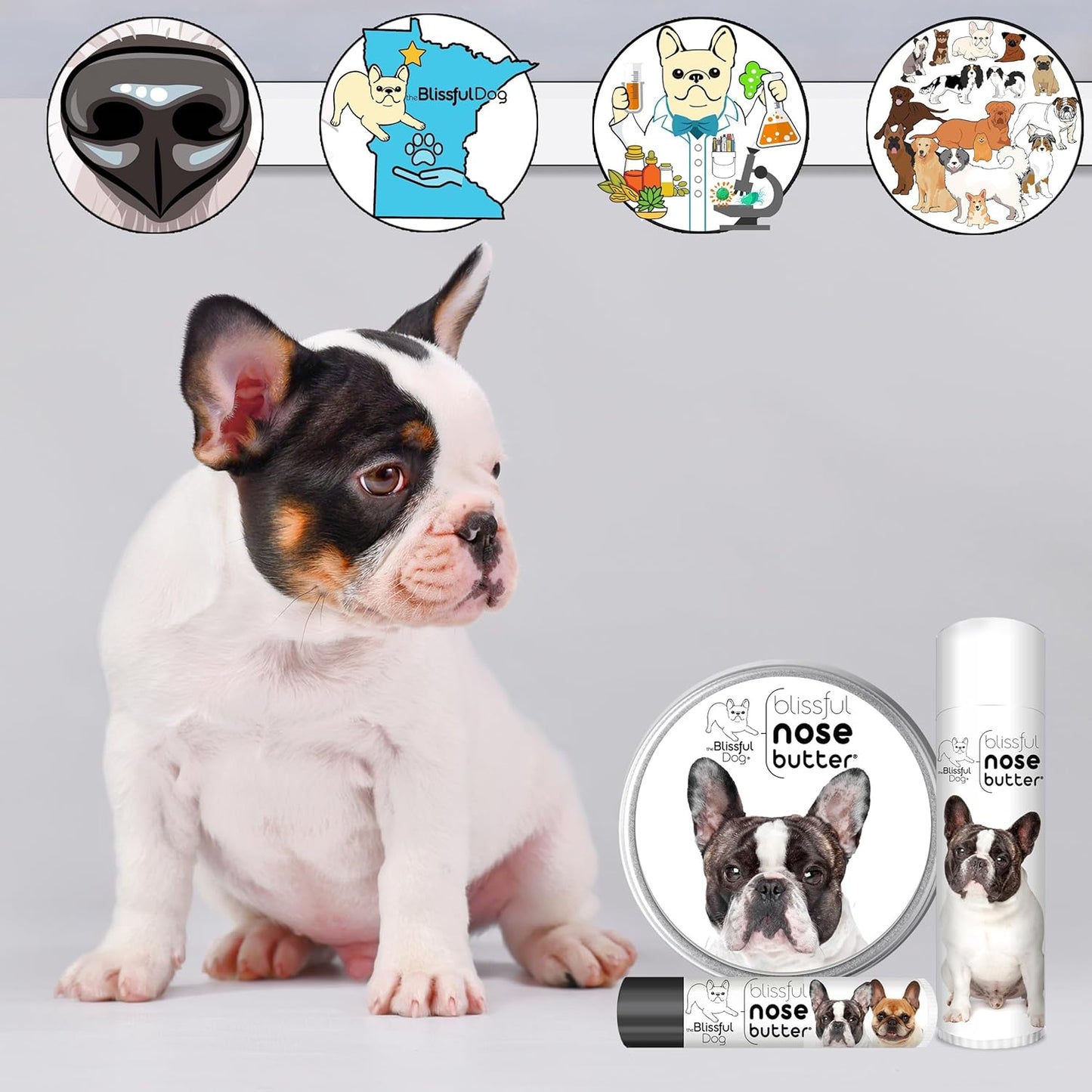 The Blissful Dog French Bulldog Pied Nose Butter for Dry, Cracked Skin, Lick-Safe Dog Nose Balm with Moisturizing Shea Butter, Almond, Olive, and Essential Oils, Pet Supplies, Uncented, 2 oz.