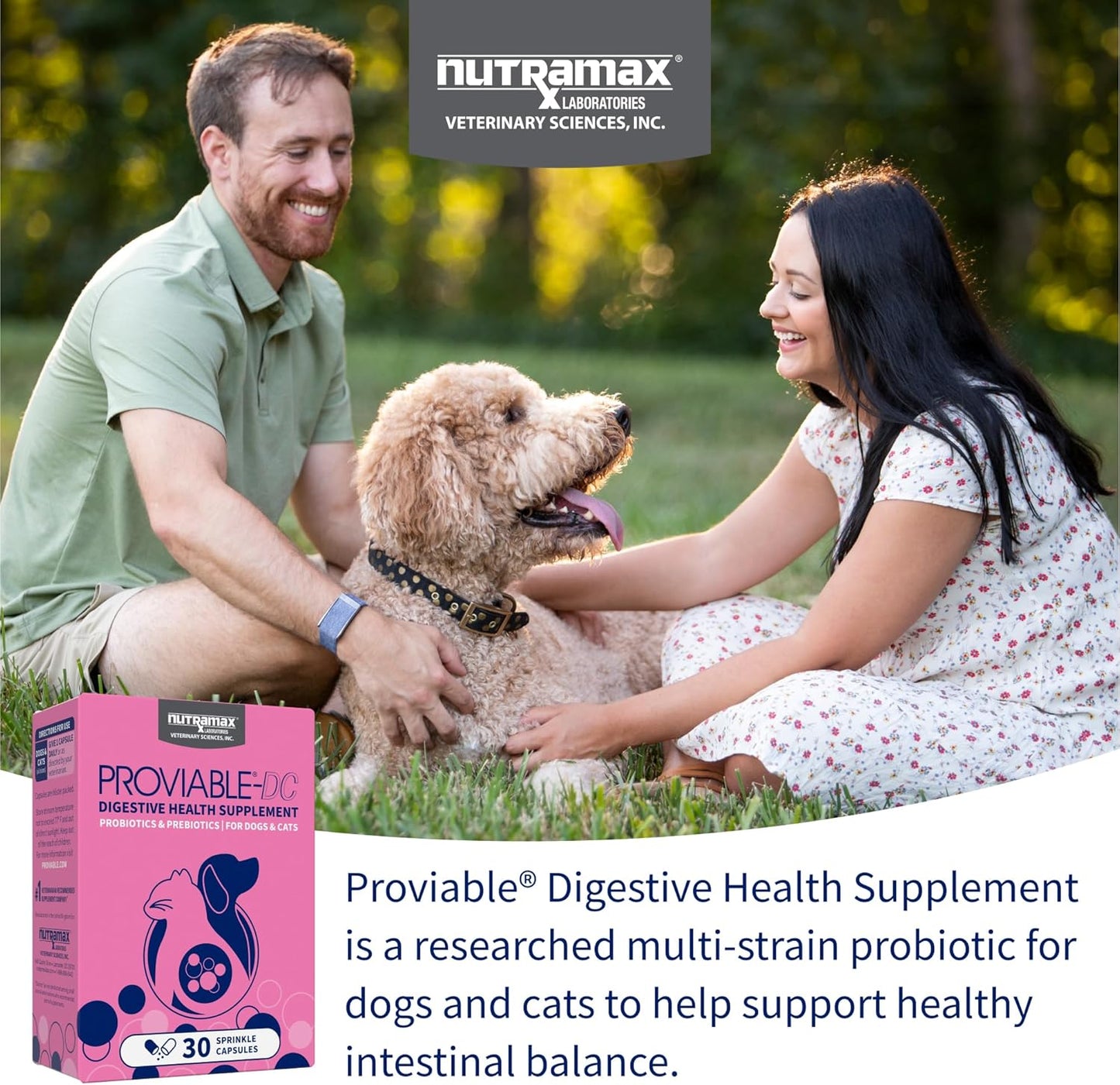 Nutramax Proviable Probiotics for Dogs and Cats, Daily Digestive Health Supplement with Multiple Strains of Bacteria, Cat and Dog Probiotics Plus Prebiotics, 30 Capsules
