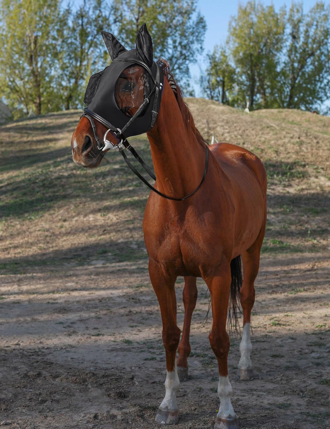 Horse Fly Mask with Ears, UV Protection for Horses, Elasticity with Big Mesh Eye Covers, Snug Fitting Comfortable Breathable Lightweight for Horses Black Full Size
