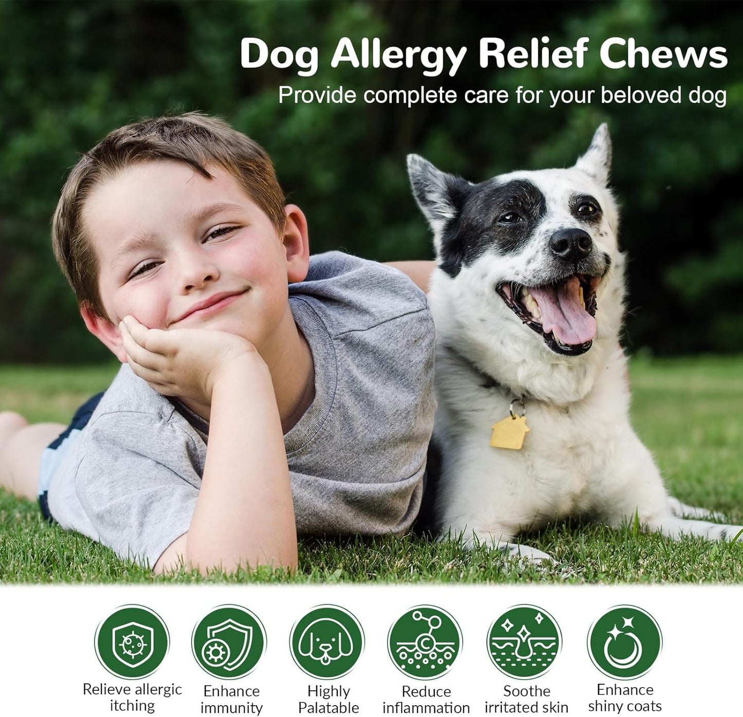 Dog Allergy Relief Chews, Dog Itch Relief Chews for Large Dogs Paw Licking Itchy Skin, Probiotics with Astragalus Omega-3 for Seasonal Allergies Coat Immune Supplement-300ct