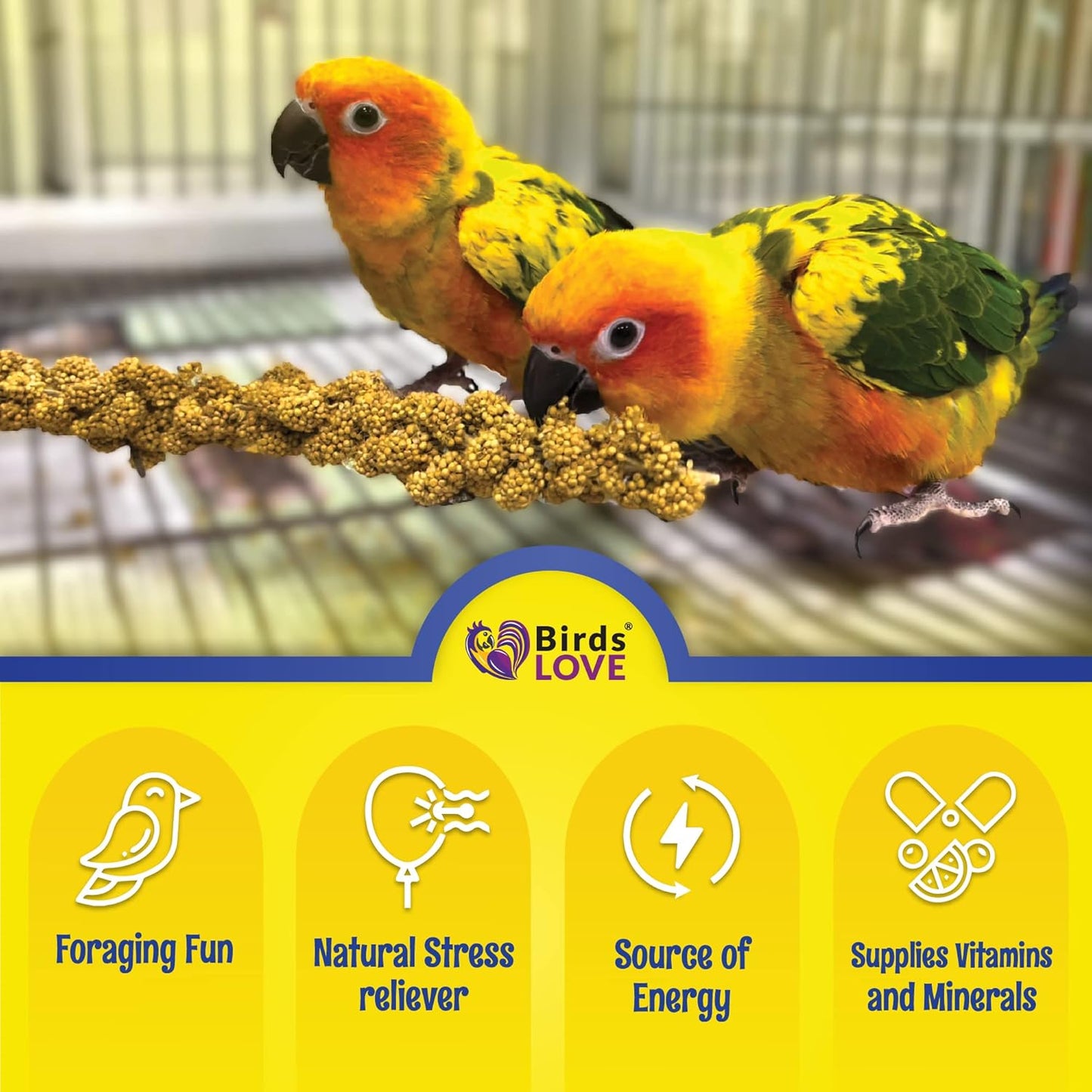 Birds LOVE Economy & Thin Special Spray Millet – 5 lb GMO-Free, No Stems (Only Edible Tops) – Healthy Treat for Cockatiels, Lovebirds, Parakeets, Finches & Canaries