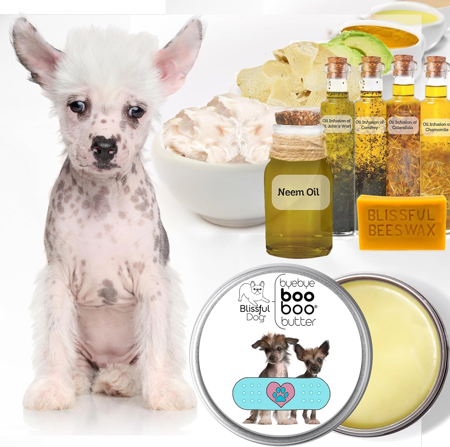 The Blissful Dog Chinese Crested Boo Boo Butter, 16 oz.