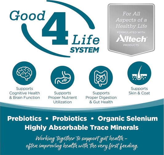 NutriSource Adult Dog Food, Made with Chicken and Rice, with Wholesome Grains, 15LB, Dry Dog Food