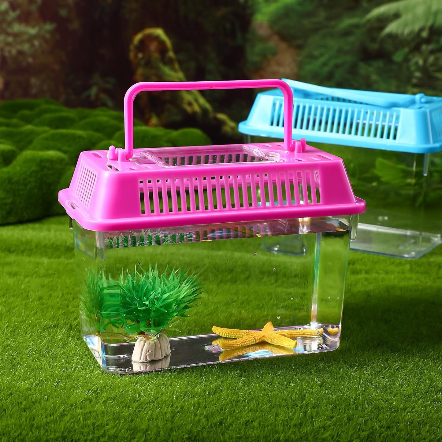 NOLITOY 4pcs Mini Fish Tank, Plastic Fish Box Breeding Case with Handle Desktop Reptile Carrier Portable Aquarium for Shrimp Turtle Shrimp Goldfish (Random Color)