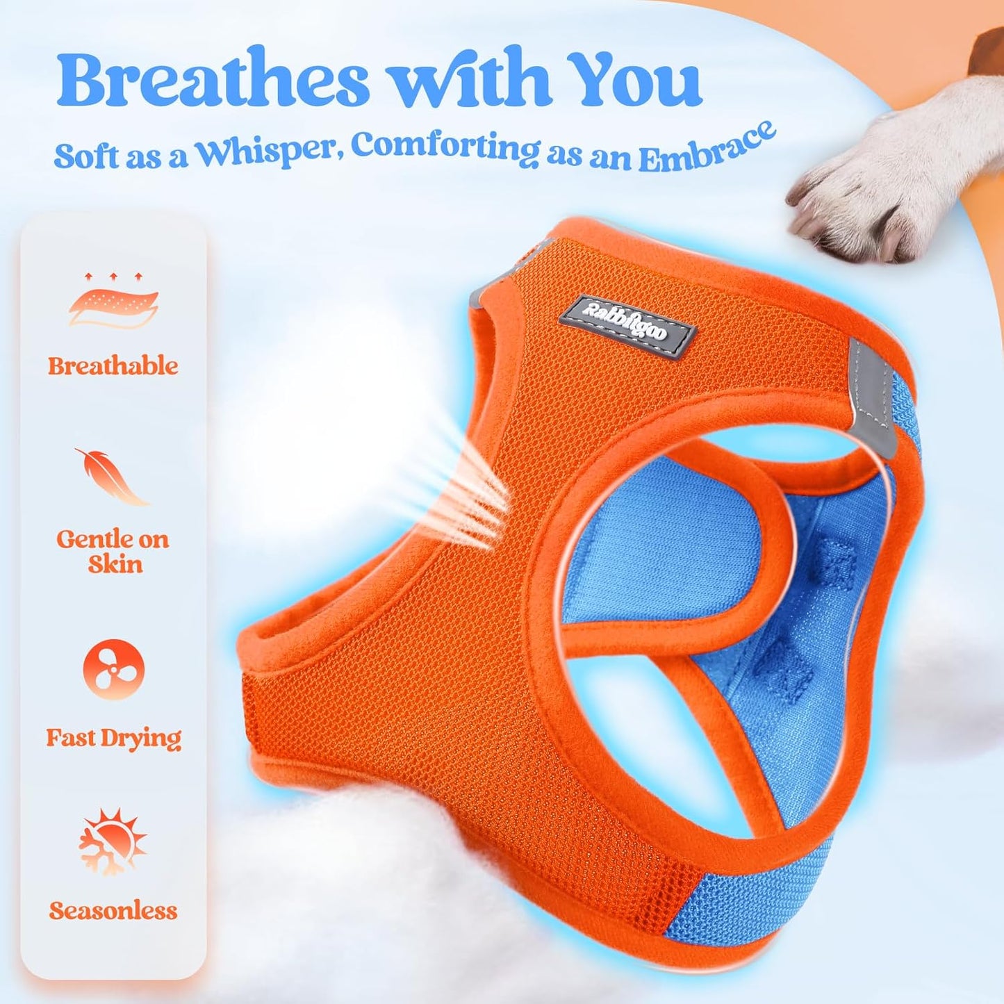 rabbitgoo Dog Harness Small Medium Sized and Leash Set, Step in Soft Light Puppy Vest, Breathable Mesh Pet Harness, Reflective for Safe Easy Walking, Blue & Orange XL