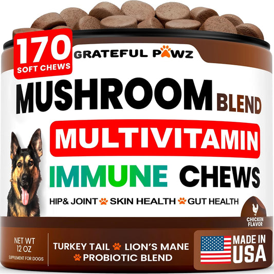 Mushroom Supplement for Dogs - 170 Chews - Mushrooms for Dogs - Turkey Tail, Reishi, Lion’s Mane, Glucosamine Multivitamin - Immune Booster, Gut, Hip & Joint Health Support Vitamins, Energy & Skin