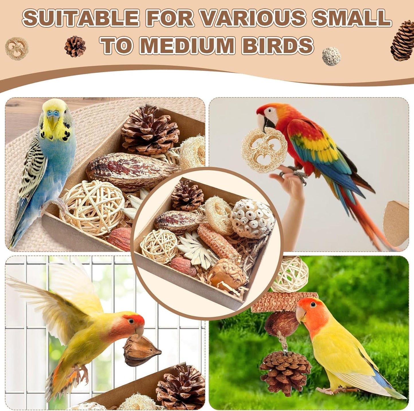 Parrot Toys, Tyotrbs Bird Toys Parakeet Toys for Birds Budgie Shredder Hanging Set Cockatiel ChewToys Parrot Climbing CageToy Lovebird Cage Accessories for Small or Medium Parrots