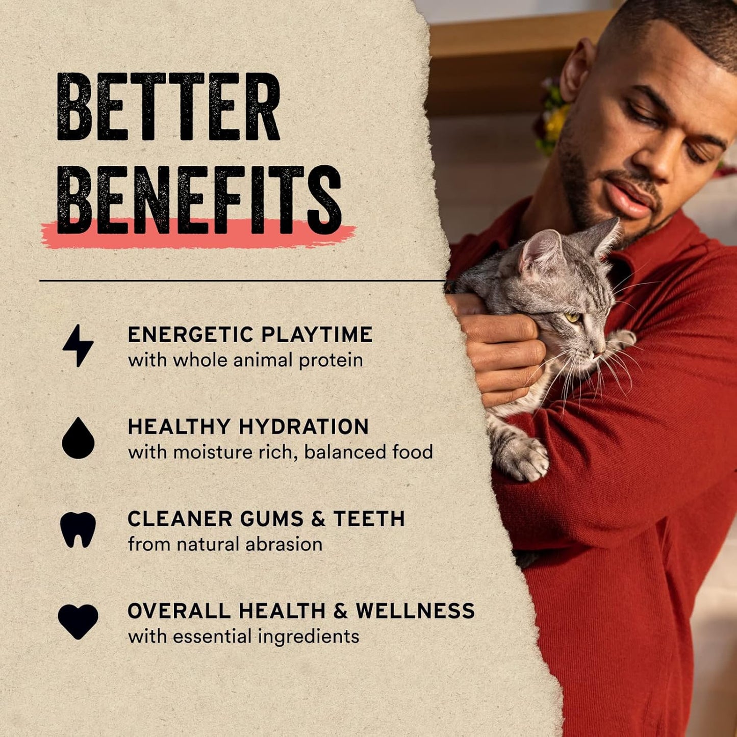 Vital Essentials Freeze Dried Raw Cat Treats, Chicken Giblets, 1 oz (Pack of 2)