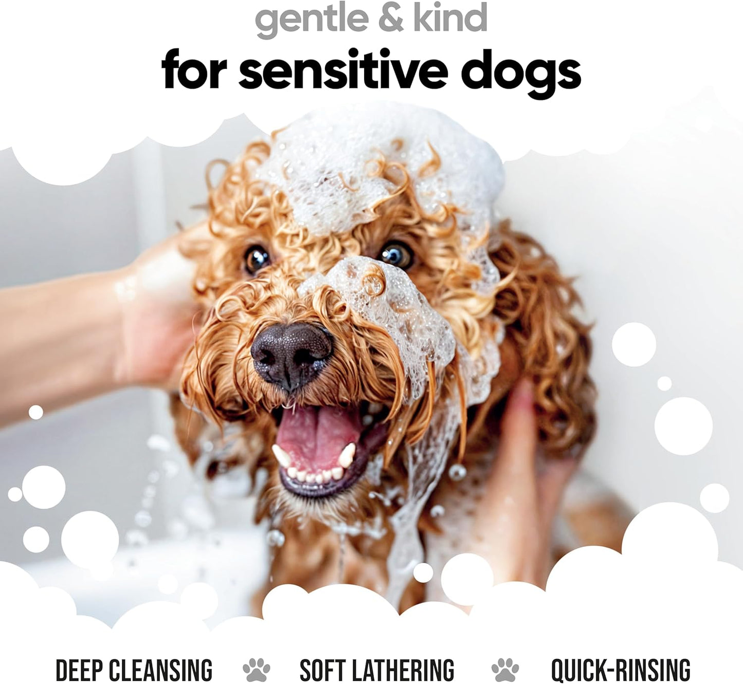 Derma Sensitive Dog Shampoo by Buddycare | with Aloe Vera and Pro Vitamin B5 (33.8oz)