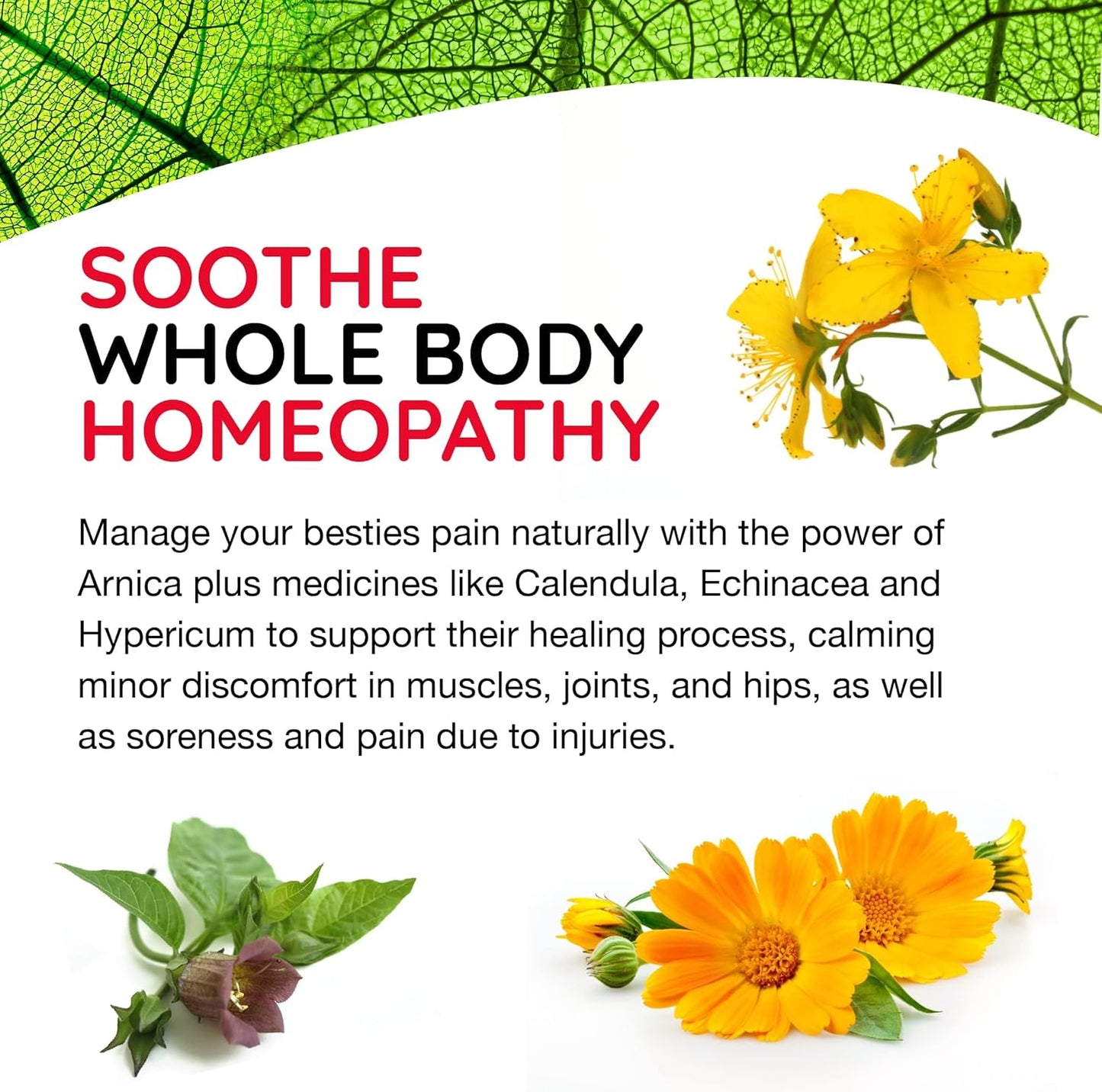 T-Relief Pet Pain Relief Arnica +12 Powerful Natural Medicines Help Ease Muscle Joint & Hip Pain Soreness Stiffness & Injuries Max Fast-Acting Soother for Dogs & Cats - 90 Tablets (2 Pack)