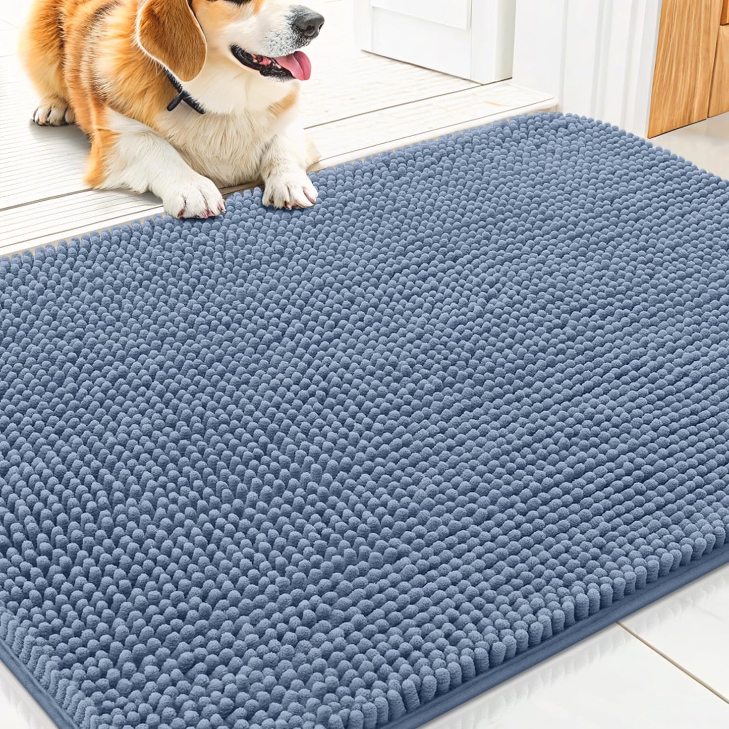 Smiry Dog Door Mat for Muddy Paws 30x20, Absorbs Moisture and Dirt Doormat, Non-Slip Washable Quick Dry Chenille Front Door Mat Indoor Entrance, Entryway Carpet for Inside Floor, Airy Blue