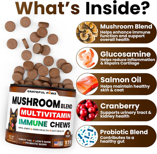Mushroom Supplement for Dogs - 170 Chews - Mushrooms for Dogs - Turkey Tail, Reishi, Lion’s Mane, Glucosamine Multivitamin - Immune Booster, Gut, Hip & Joint Health Support Vitamins, Energy & Skin