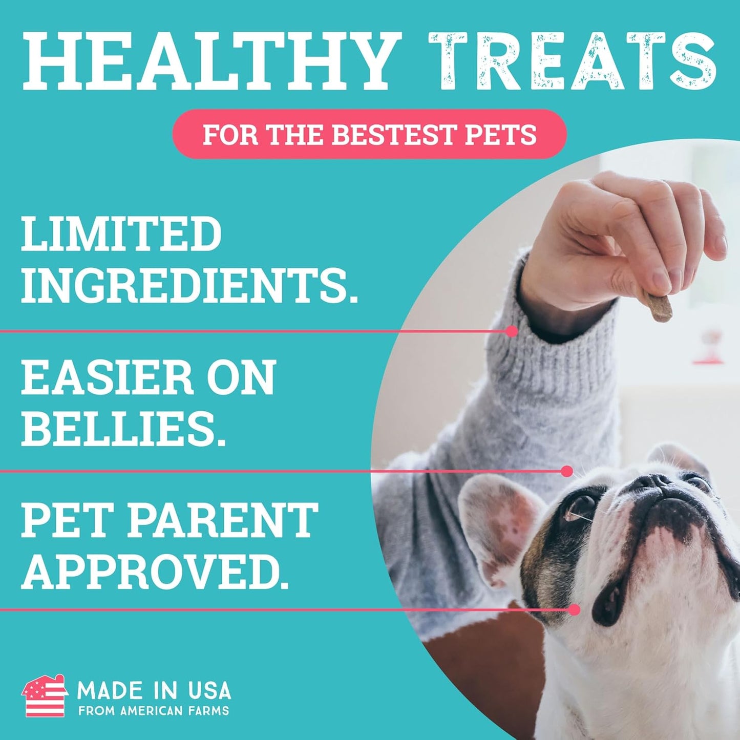 etta says! Training Treats - All Natural Pork and Bacon Soft Treats for Dogs - Made in The USA (16 Oz Pack of 1)