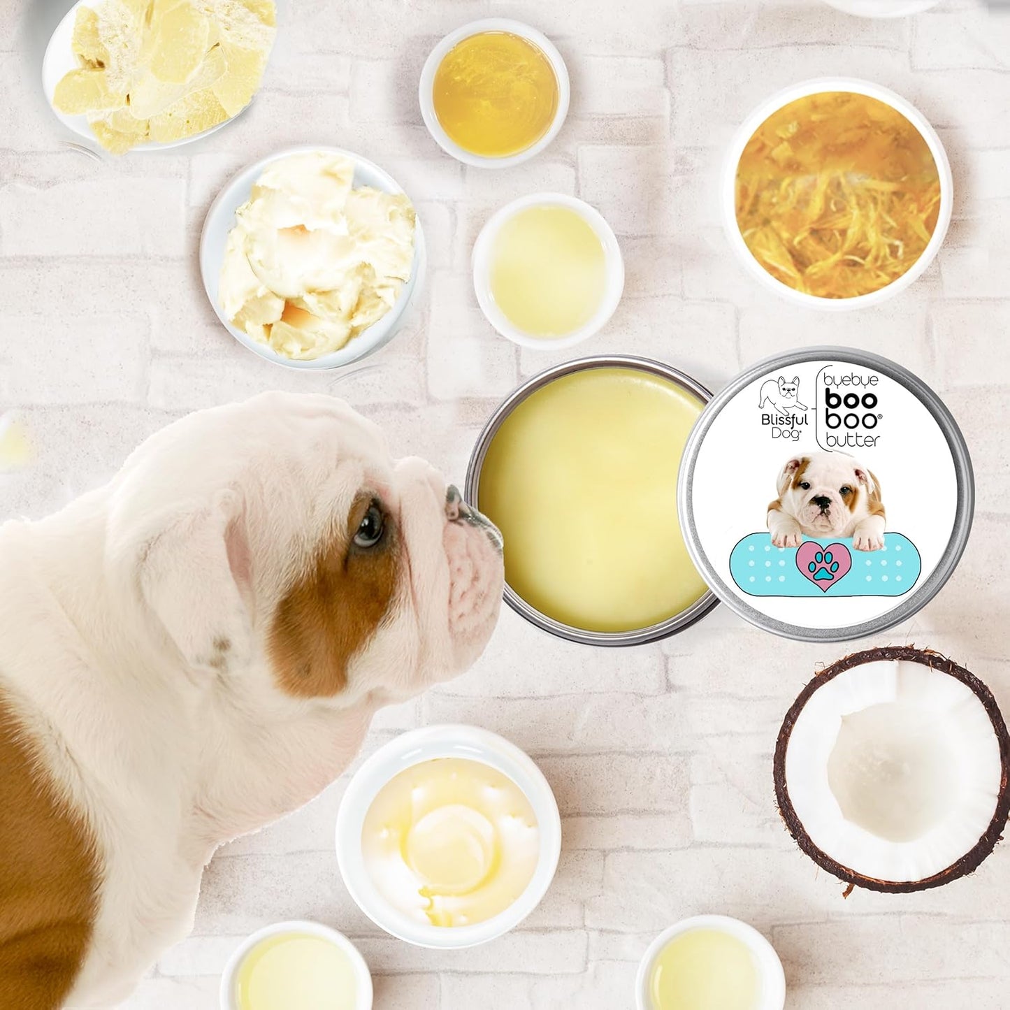 The Blissful Dog 2 oz TIN Bulldog Booboo Butter