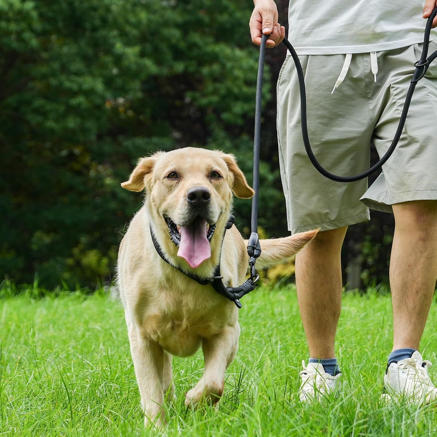 Rope Dog Leash, 4 ft Heavy Duty Dog Leash with Aviation Aluminum Auto Locking Carabiner, Strong Nylon Pet Lead for Small, Medium, Large Dogs (Blue, 4FT)