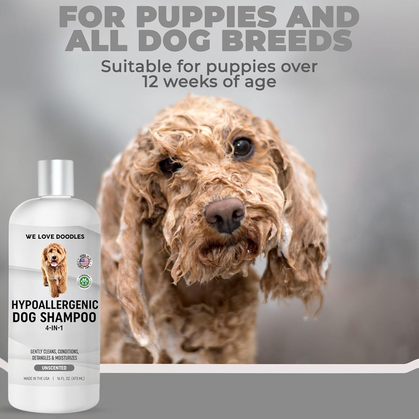 Hypoallergenic Dog Shampoo, Conditioner, and Detangler | Made in USA | Eco-Friendly Ingredients | Shampoo for Dogs with Sensitive Skin & Allergies | 16 OZ [We Love Doodles]