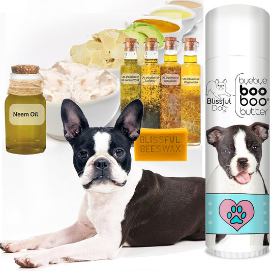 The Blissful Dog .50 oz Tube Boston Terrier Booboo Butter