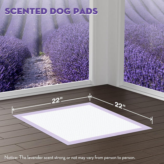 CROCI Puppy Pads 22x22in Small with Adhesive Tabs, Dog Pee Pads Absorbs Up to 3 Cups Potty Training, Disposable (50 Counts)