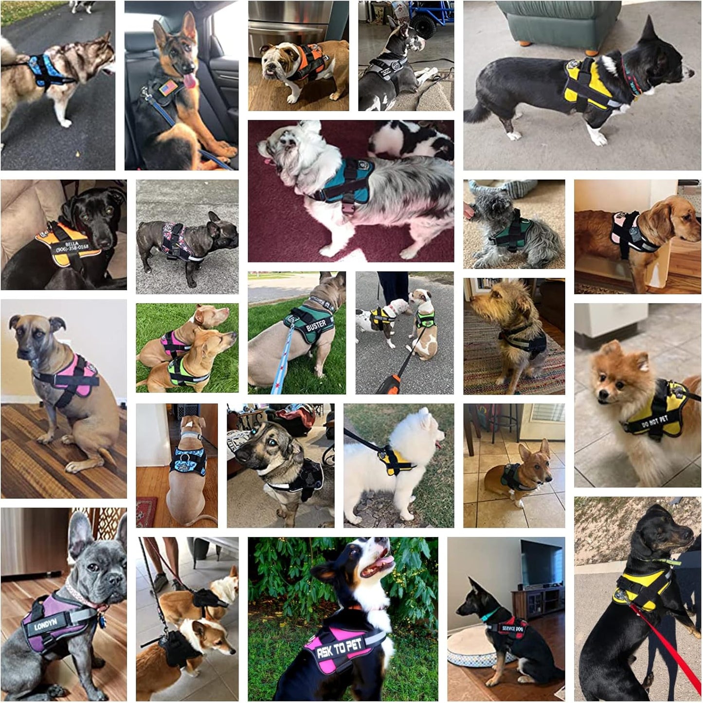 Bolux Dog Harness, No-Pull Reflective Dog Vest, Breathable Adjustable Pet Harness with Handle for Outdoor Walking - No More Pulling, Tugging or Choking (Purple, L)