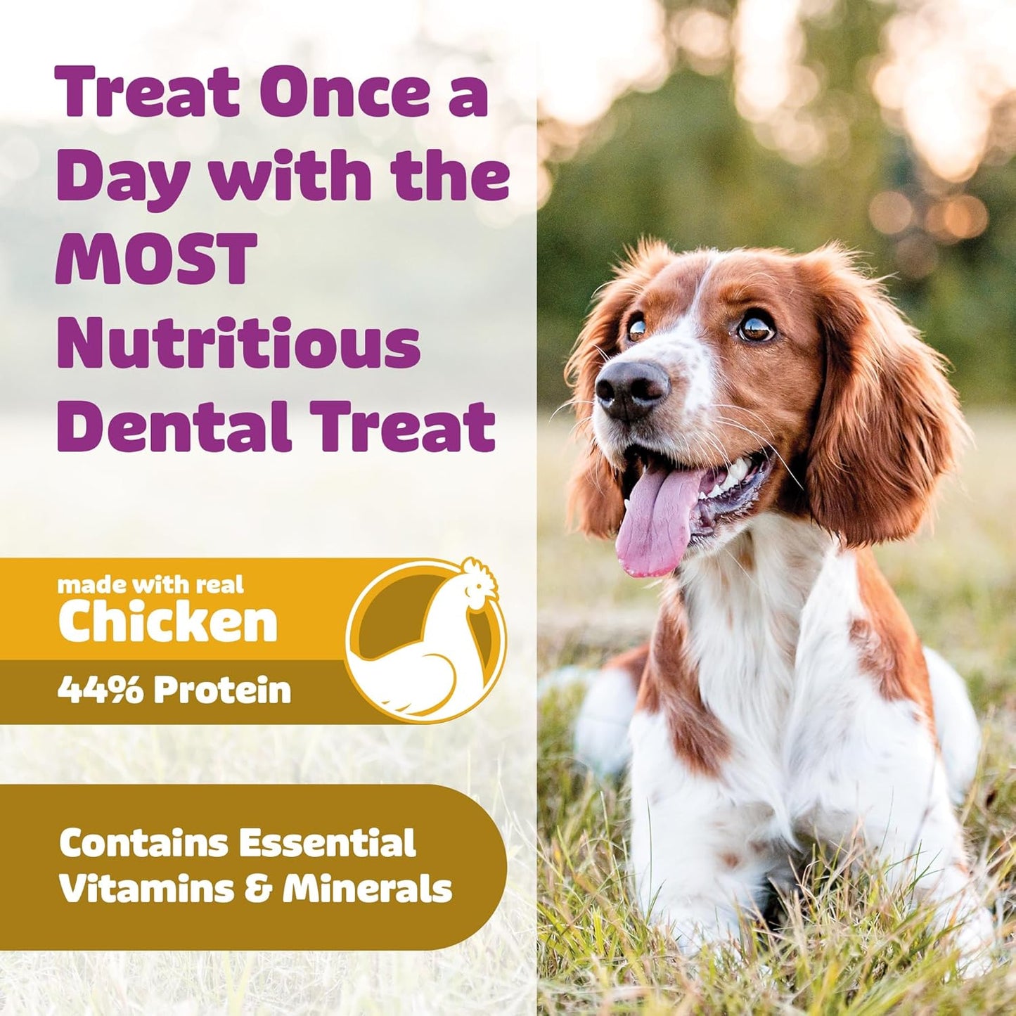 Dog Dental Treats – Vet VOHC Approved – Delicious Chicken Protein – Removes Tartar with Cleaning Comb Shape – Dental Dog Treats for Extra Large Dogs (12oz, 6 Count)