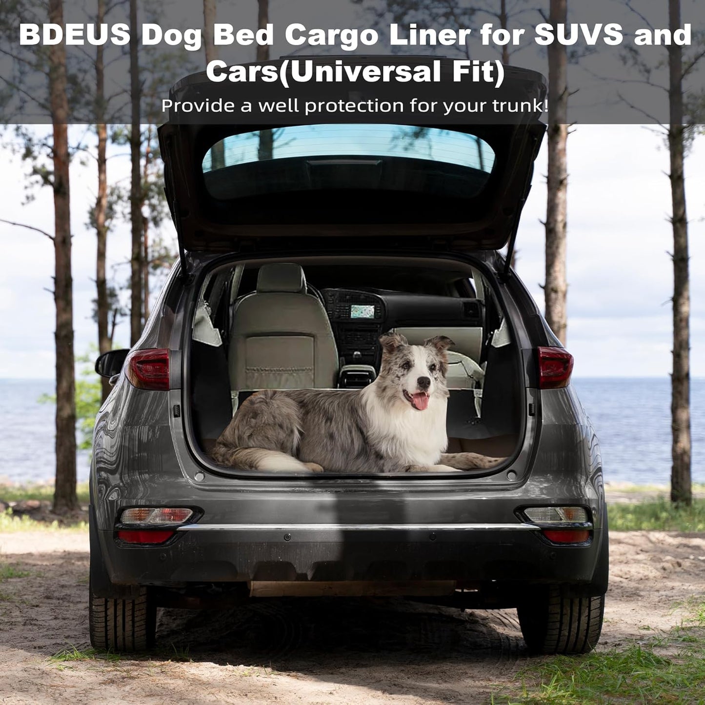 BDEUS 51x35In Extra Large Size Outdoor Dog Bed, Waterproof & Portable Camping Travel Pet Mat, Easy to Clean, Washable Odor Resistant Pet Cooling Pad (Black)