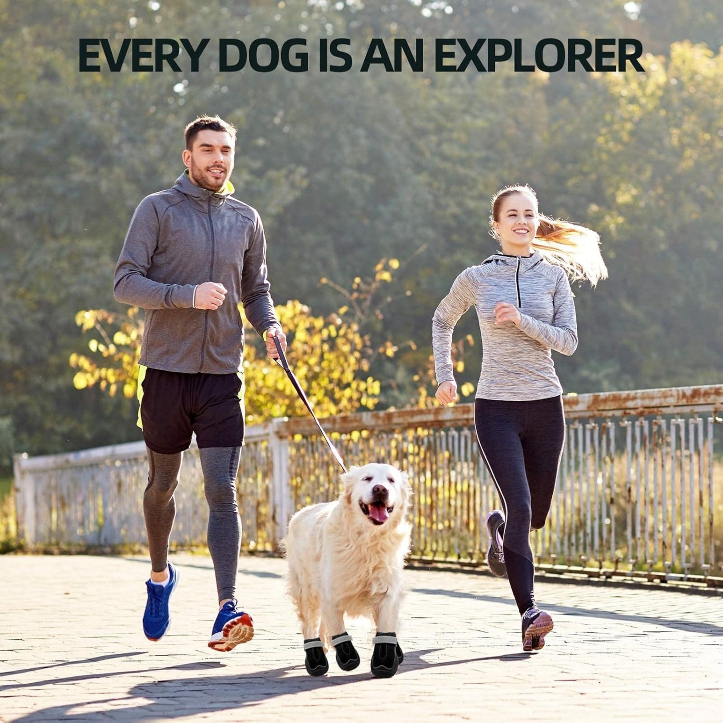 Hcpet Dog Boots for Large Dogs, Dog Shoes for Hot Pavement Winter Snow, Paw Protector Dog Booties Designed for Comfort and Breathability, Outdoor Booties for Small Medium Dogs for Hiking Black Size 2