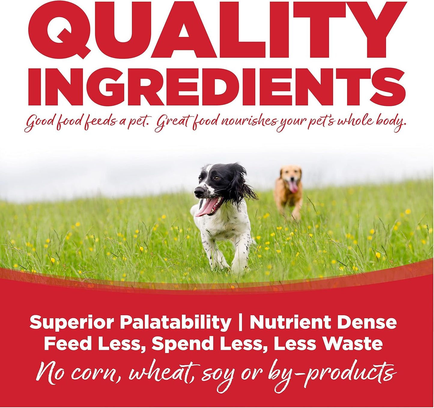 NutriSource Dry Dog Food for Large Breeds, Beef and Rice, 26LB