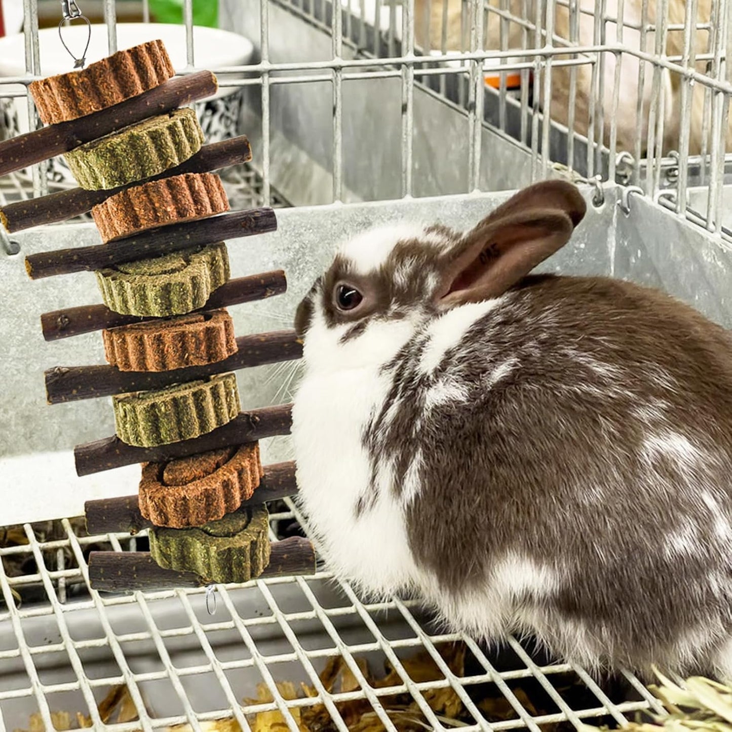 Rabbit Chew Toy,Bunny Chew Toys for Teeth Grinding,Natural Apple Branch Teething Sticks with Hay Grass Cake Improve Dental Health Bunny Hanging Chew Toys for Rabbits,Chinchillas,Hamster (4 Pcs)