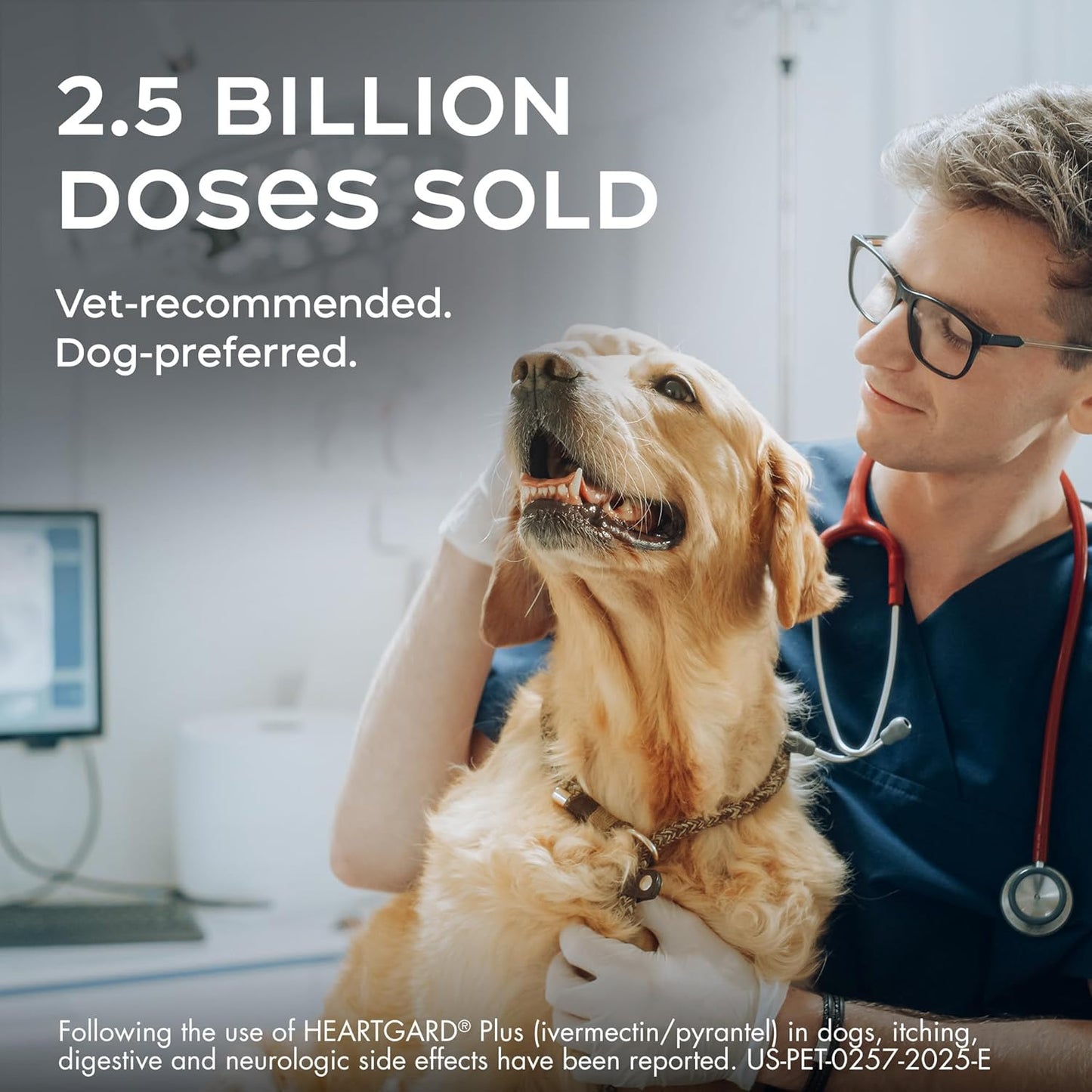 HEARTGARD® Plus (ivermectin/pyrantel) Real-Beef Chewables for Dogs up to 25 lbs (Blue Box) 1 Month Supply of Chews (Heartworm Disease Preventive)