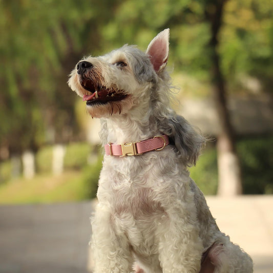 PET ARTIST Soft PU Leather Dog Collar, Bright & Classic Pink Dog Collar with Quick Release Rose Metal Buckle, Adjustable Nylon Padded Durable Pet Collars for Large Dogs Girl, Neck Fit 16-27"