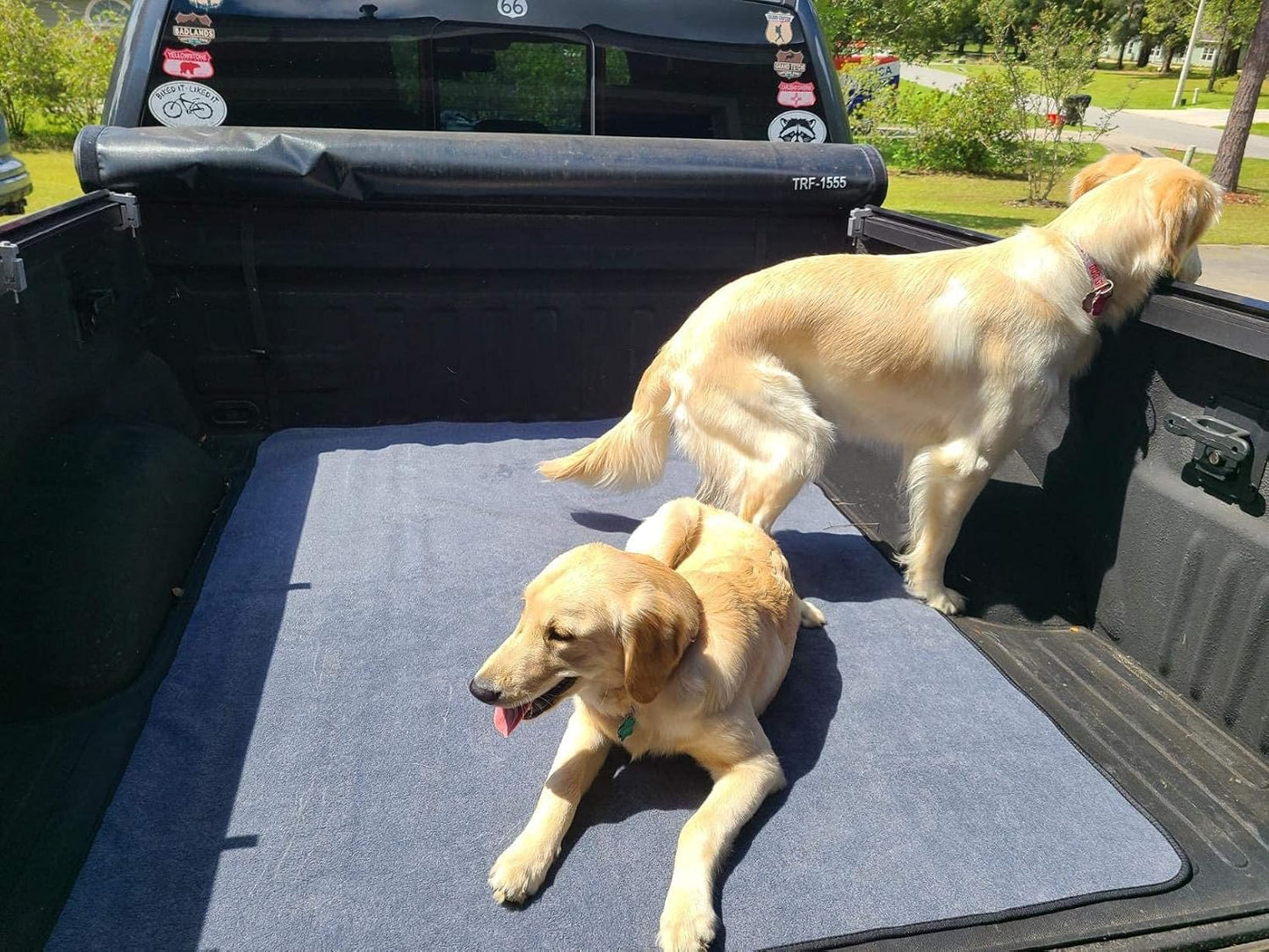 Washable Pee Pads for Dogs 65"x45"/72"x72" Extra Large Reusable Pee Pads Waterproof Pet Mat, Dog Playpen Mats for Puppy Training Whelping Playpen Pads