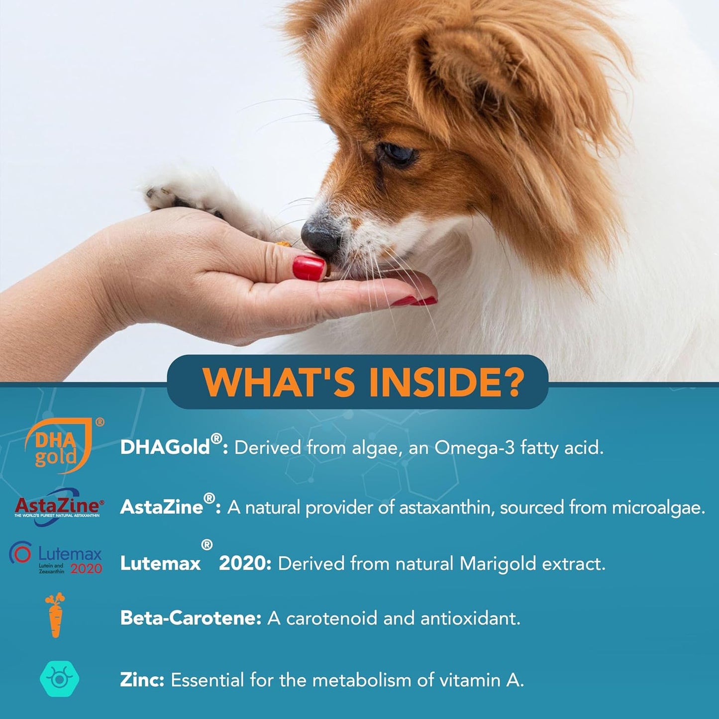 NOVEHA Eye Supplement for Dogs - Vision Support with Lutein + Vitamin C & Astaxanthin Antioxidants - Dog Vitamins for Eyes + Fish Oil for Omega 3 EPA - Made in USA - 90 Soft Chews (3 Pack)