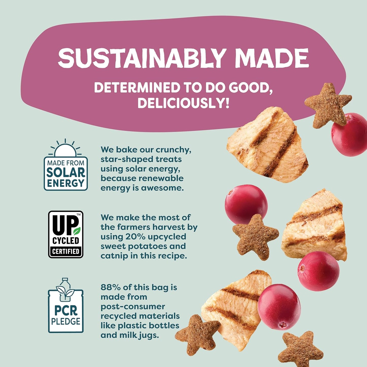 Shameless Pets Crunchy Cat Treats - Kitty Treats for Cats with Digestive Support, Natural Kitten Treats with Real Chicken, Healthy Flavored Feline Snacks - Cran You Say Chicken, 12 oz