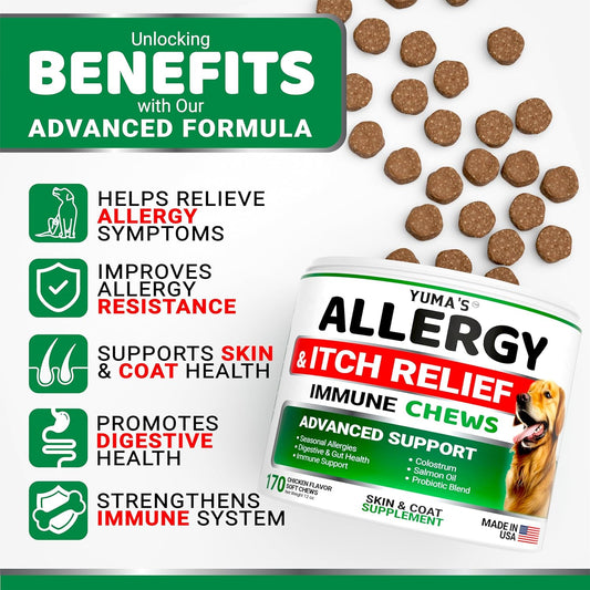 Dog Allergy Relief Chews - Dog Itching Skin Relief Treatment Pills - 170 Treats - Anti-Itch Chewables - Itchy and Paw Licking - Hot Spots - Omega 3 Fish Oil - Dry Skin & Coat Supplement