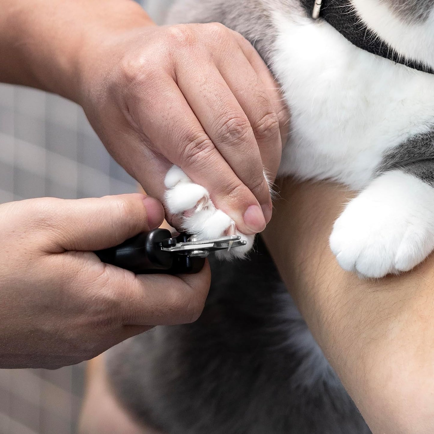 Tweezerman Small Nail Clippers for Dogs & Cats, Manual Professional Dog & Cat Nail Trimmer with Ergonomic Handle