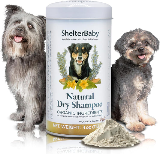 Dry Shampoo for Dogs – Antifungal Itchy Skin & Hot Spot Relief, Yeast Infection & Paw Licking Treatment, Dog Powder with Allergy Support