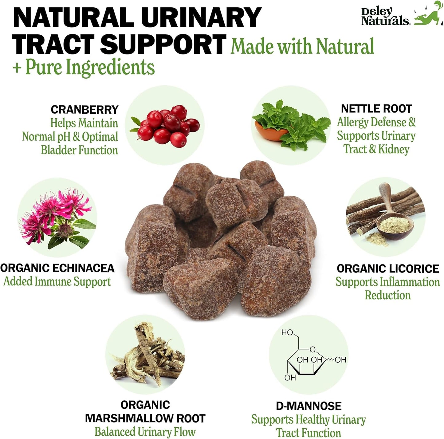 Deley Naturals Dog UTI Chews - Vet-Grade Cranberry Supplement for Dogs with D-Mannose & Echinacea for Bladder & Urinary Tract Health - Urinary Tract Supplements for Small to Large Breeds - 120 Chews