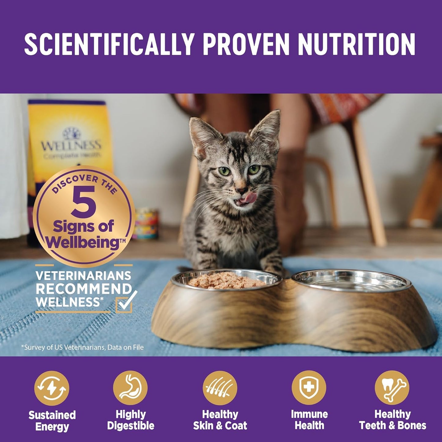 Wellness Complete Health Sliced Adult Wet Cat Food, Natural, Protein-Rich, Grain Free, 3 Ounce, 24 Pack, (Salmon Entrée)