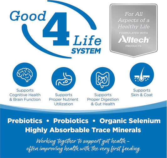 NutriSource Adult Dry Dog Food for Large Breeds, Chicken and Rice, 26LB