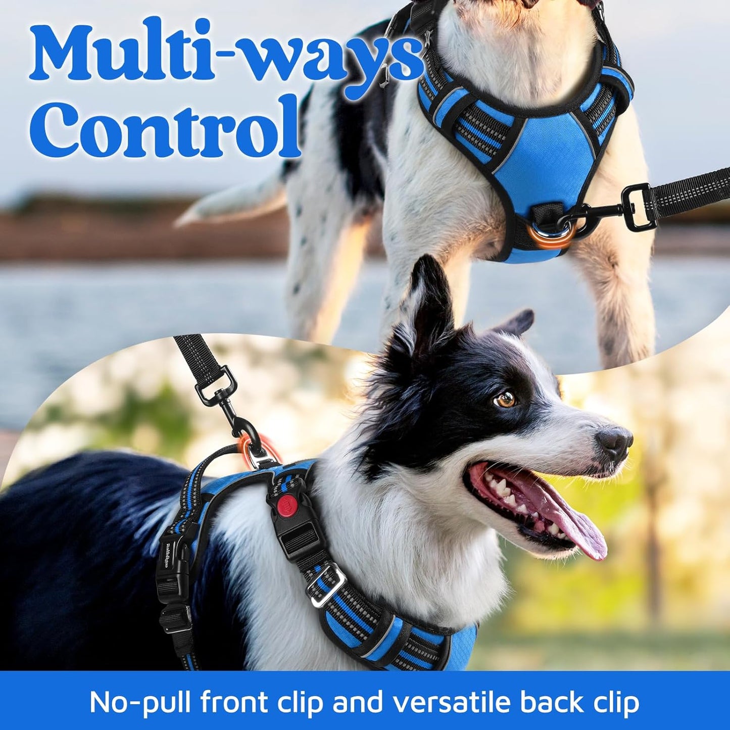 rabbitgoo Dog Harness for Large Dogs, No Pull Pet Vest with 3 Buckles, Adjustable Soft Padded Pet Harness with Easy Control Handle and Reflective Strips, Blue, XL